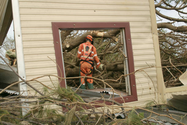 Best Tree Preservation Services  in Milford, NJ