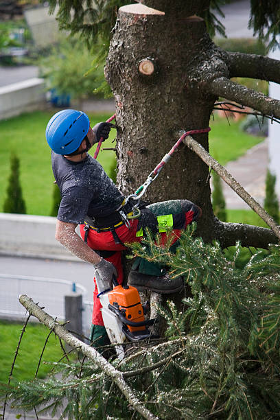 Best Utility Line Clearance  in Milford, NJ