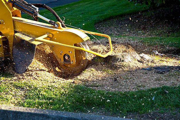 Lawn Maintenance Plans in Milford, NJ